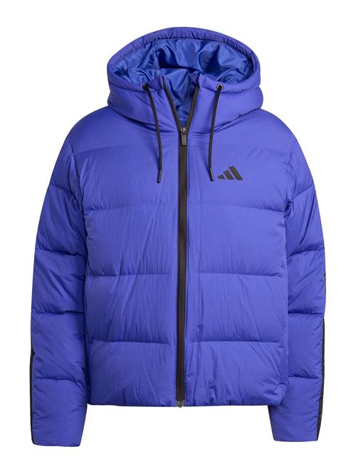 ADIDAS SPORTSWEAR Udendørsjakke 'ESS'  royalblå / sort