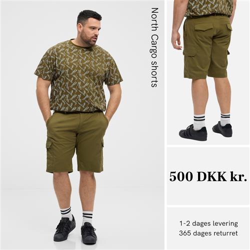 North Cargo shorts