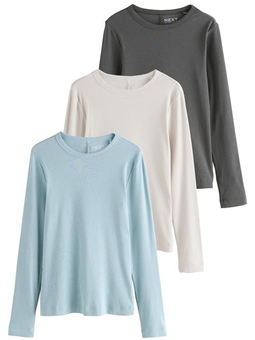 Next Shirts  beige / lyseblå / grå