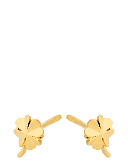 Clover Earsticks Pernille Corydon Gold