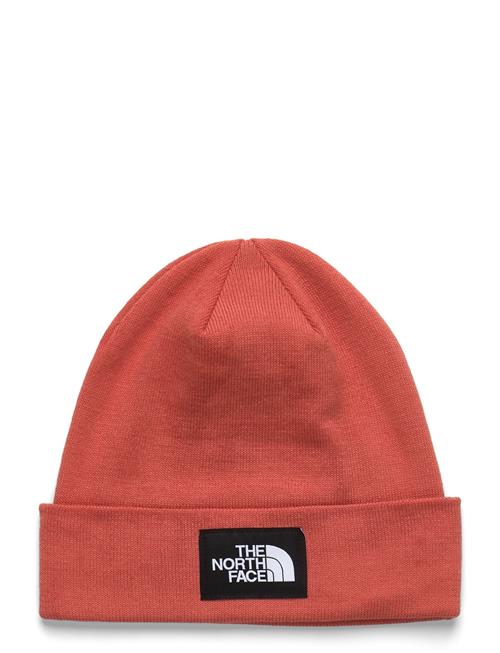 Dock Worker Recycled Beanie The North Face Red