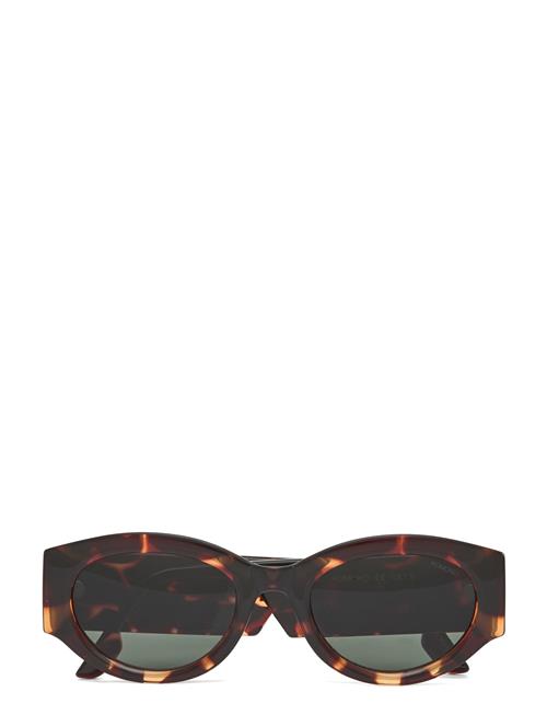 Dax Havana Komono Brown