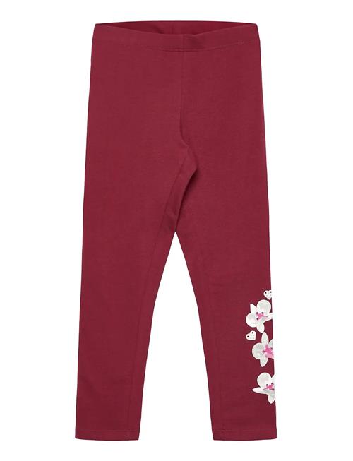 Lwpara 600 - Leggings LEGO Kidswear Red