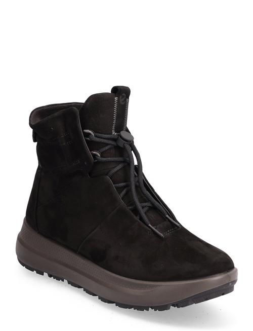 Solice ECCO Black