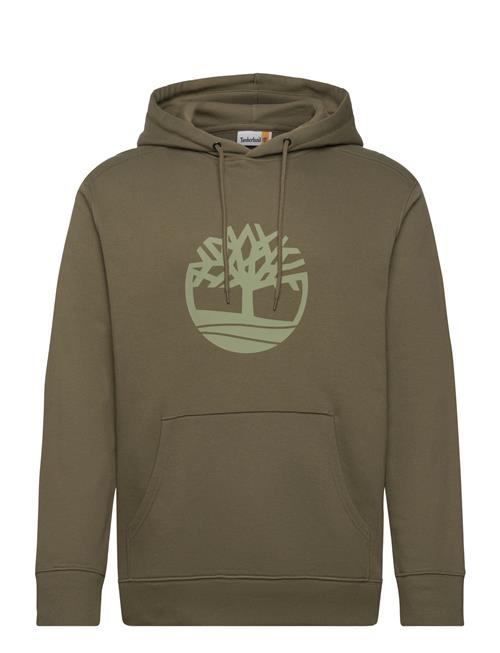 Tree Logo Hoodie Timberland Khaki