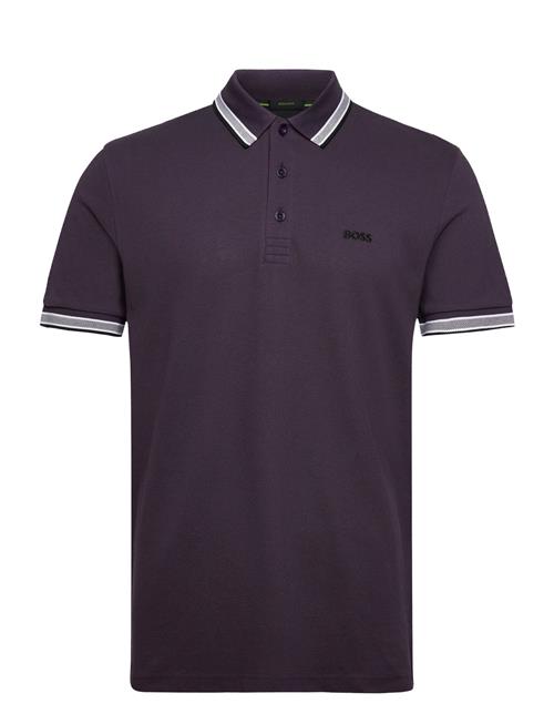 Paddy BOSS Purple