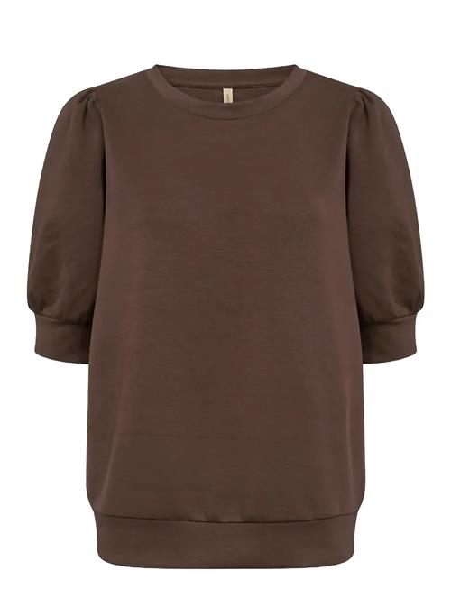 Sc-Banu Soyaconcept Brown