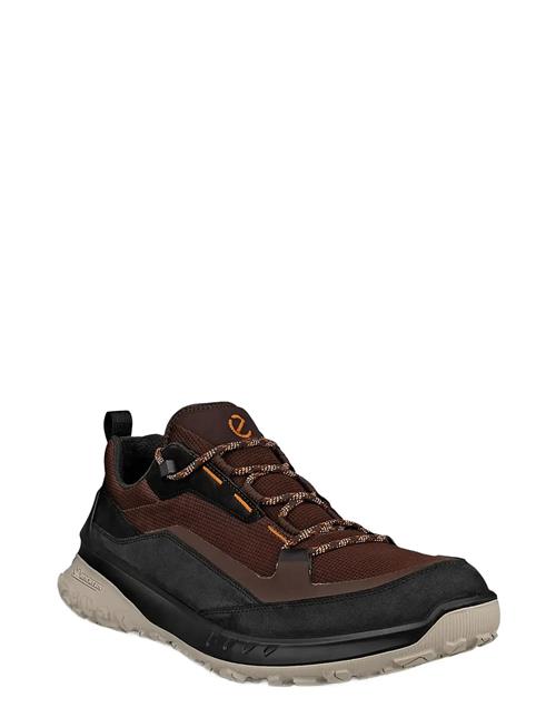 Ult-Trn M ECCO Brown