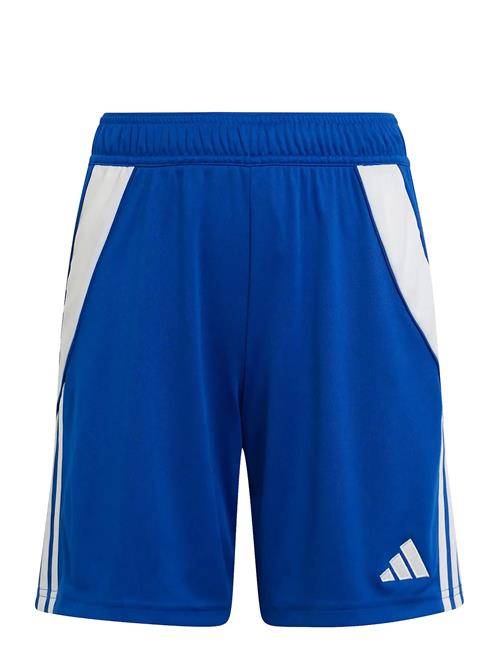 Tiro24 Sho Y Adidas Performance Blue