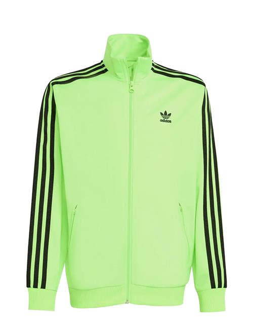 Firebird Top Adidas Originals Green