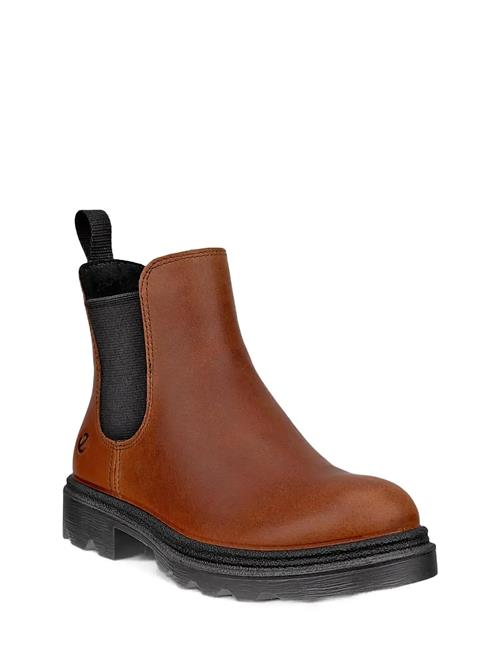 Grainer K ECCO Brown