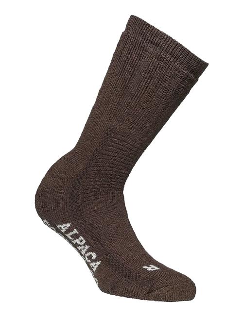 Alpacasocks 2-Pack Alpacasocks&Co Brown