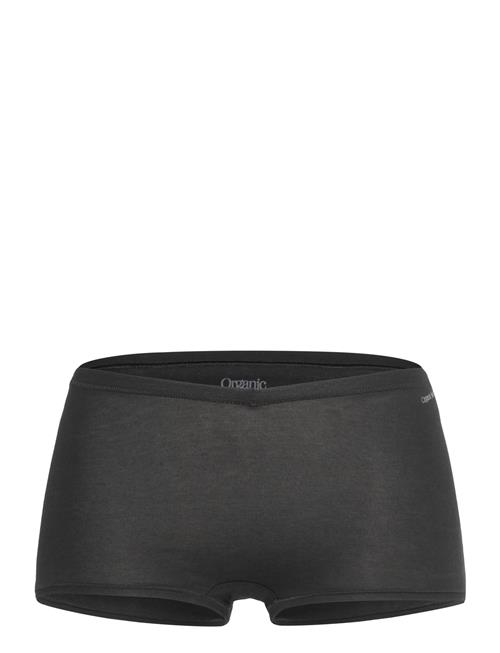 Flex Shorty Organic Basics Black