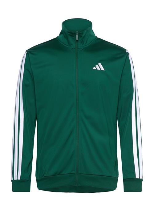 M 3S Tr Tt Adidas Sportswear Green