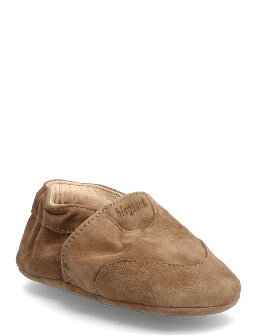 Bisgaard Newborn Bisgaard Brown