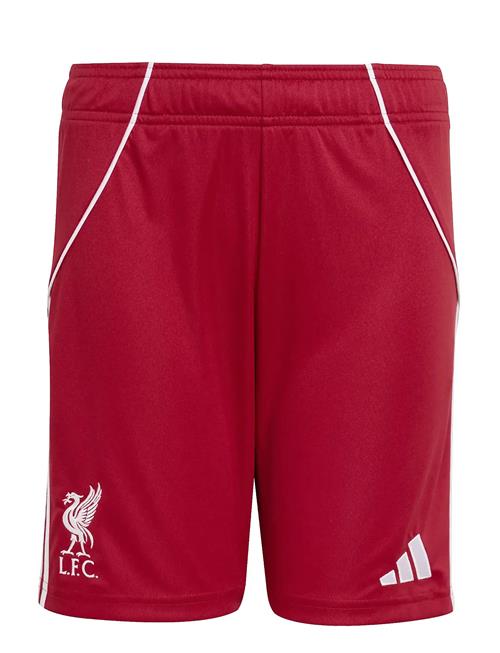 Lfc H Sho Y Adidas Performance Red