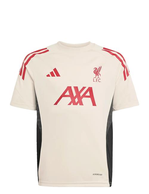 Lfc Tr Jsy Y Adidas Performance Cream