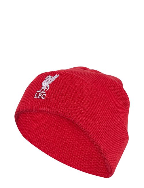 Lfc Woolie Adidas Performance Red