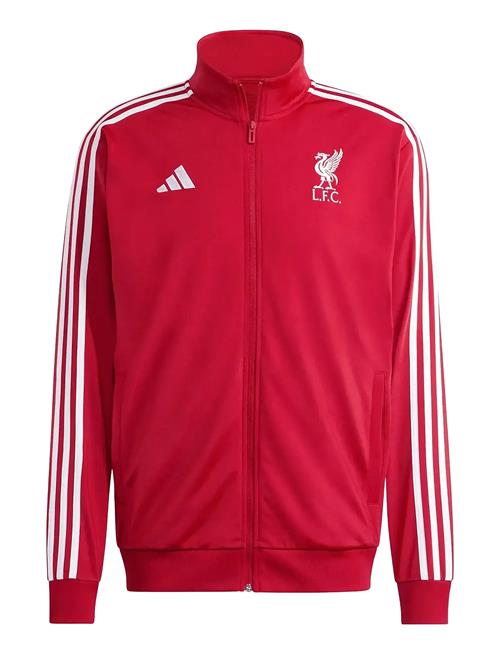 Lfc Dna Tt Adidas Performance Red