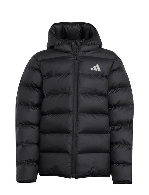 J Sd Jkt Adidas Sportswear Black