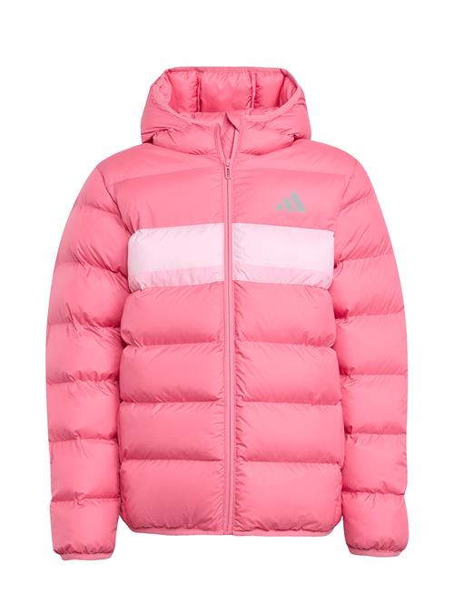 J Sd Jkt Adidas Sportswear Pink