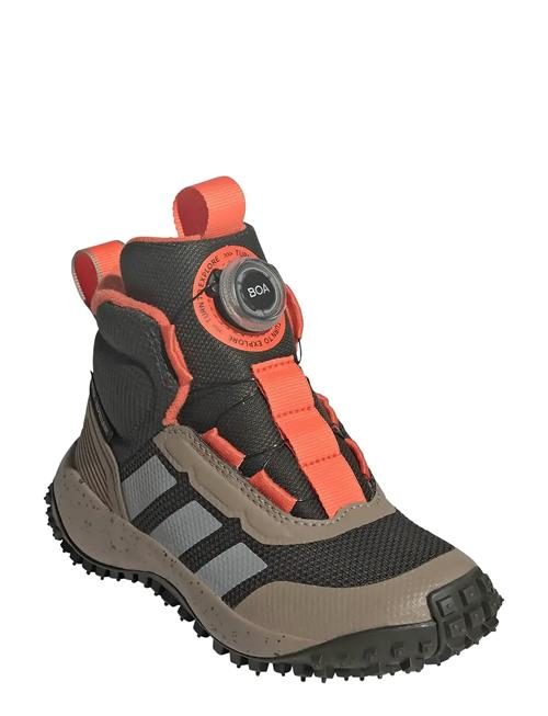 Fortatrail Boa K Adidas Sportswear Brown