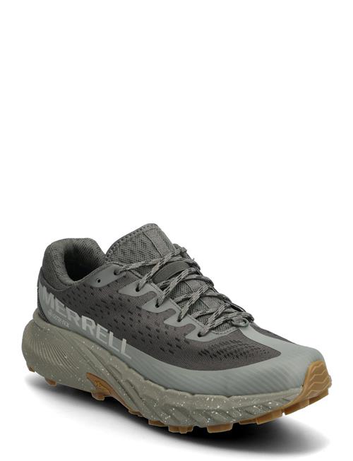Men's Agility Peak 5 Gtx - Beluga/T Merrell Grey