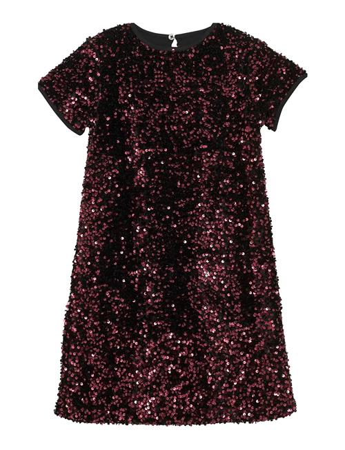 Dress Velour Sequins Creamie Black