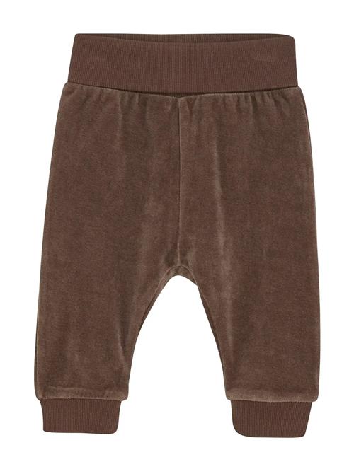 Pants Velour Fixoni Brown
