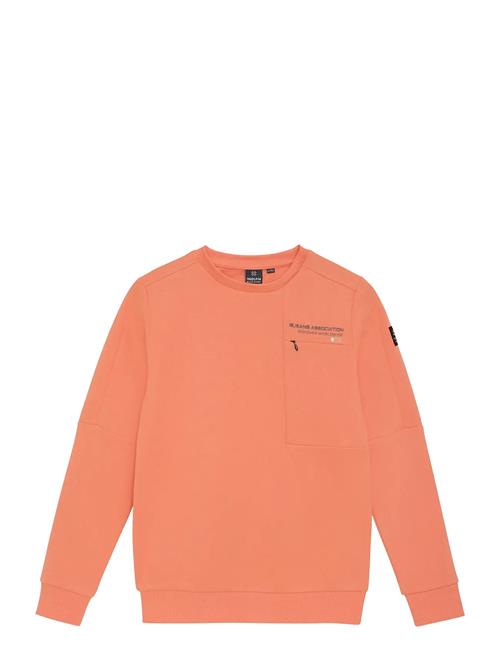 Sweater Chest Print Brushed Indian Blue Jeans Orange