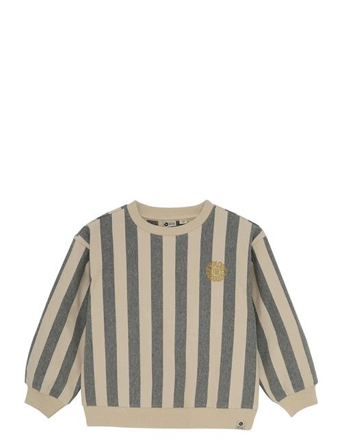 Over D Sweater Stripe Daily 7 Cream
