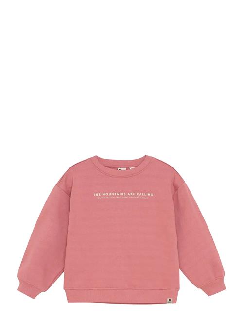 Over D Sweater Backprint Daily 7 Pink