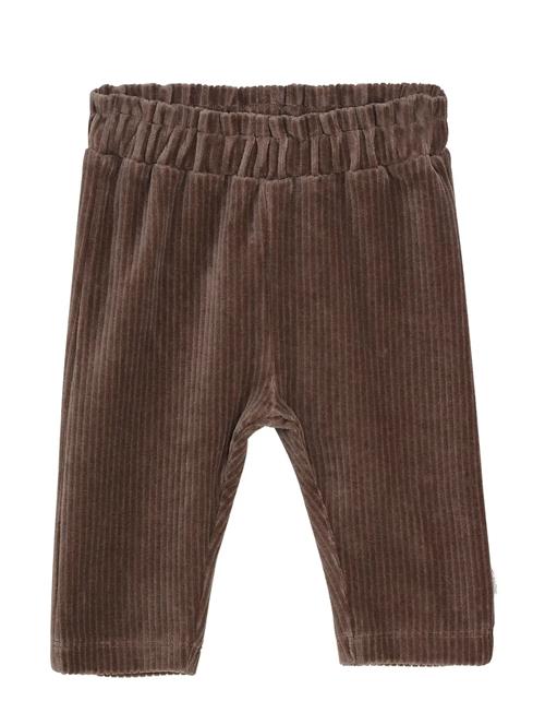 Pants Velour Minymo Brown