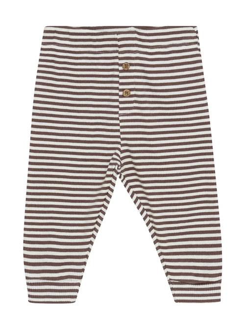 Pants Y/D Rib Minymo Brown