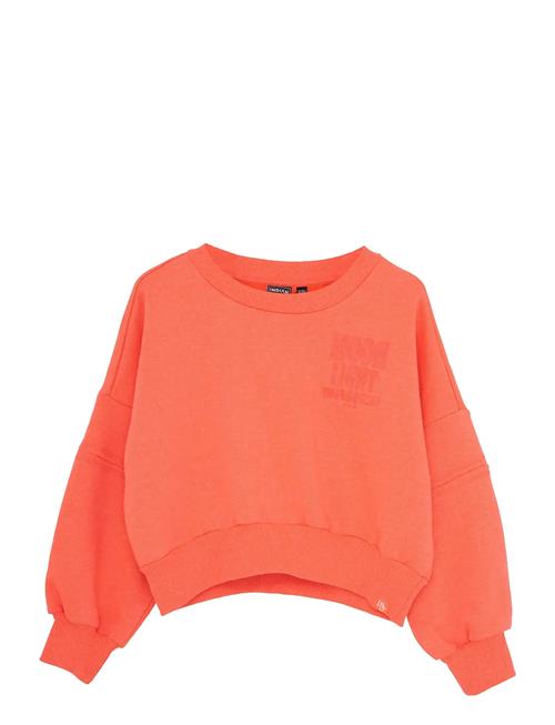 Sweater Bright Indian Blue Jeans Coral