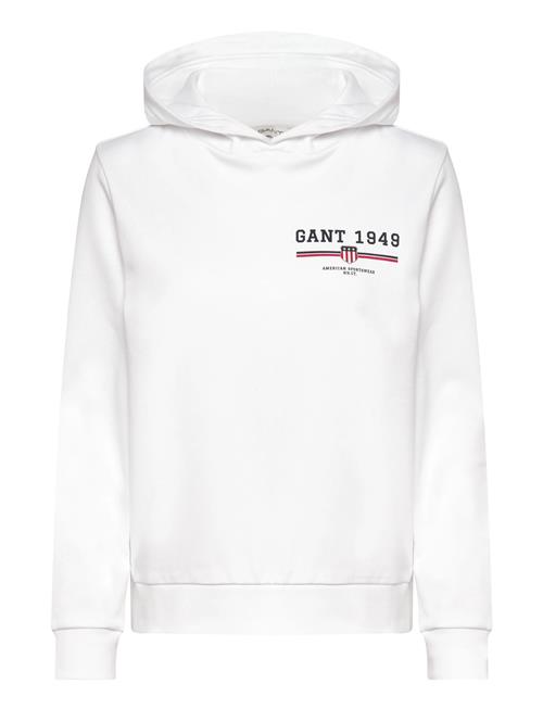 Reg Graphic Hoodie GANT White
