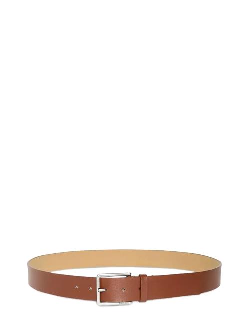 Warmth Buckle Smooth 35Mm Calvin Klein Brown