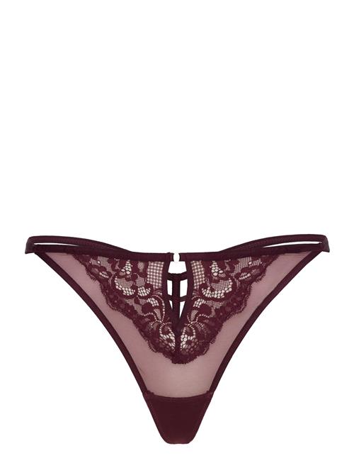 Cinnamon Hl String Tr Hunkemöller Burgundy