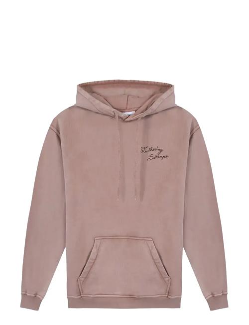Reaumur Wuthering Swamps Maison Labiche Paris Pink