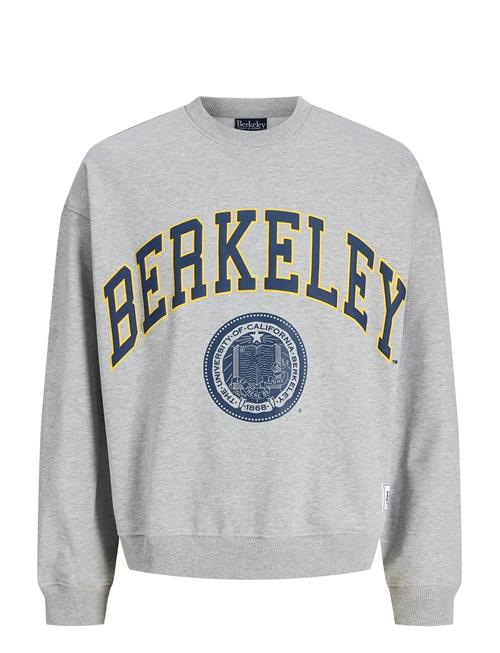 Jack & Jones Jorberkeley Sweat C.n Styd Ss25 Jack & J S Grey