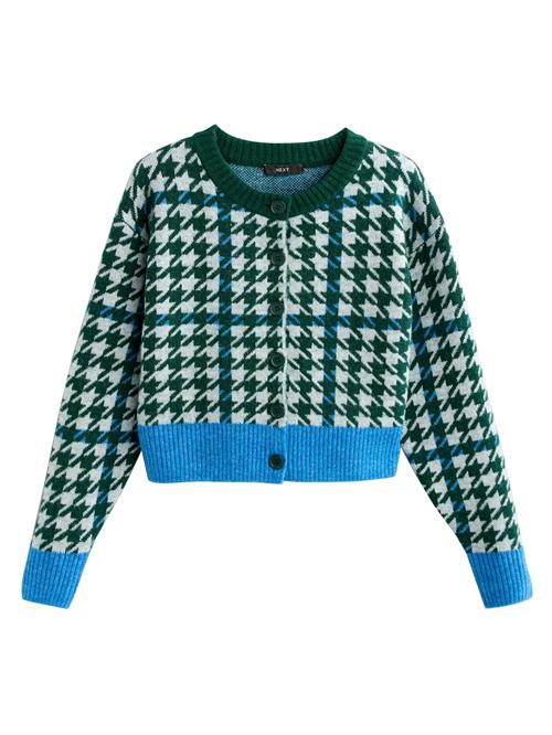 Next Cardigan  azur / mørkegrøn / offwhite