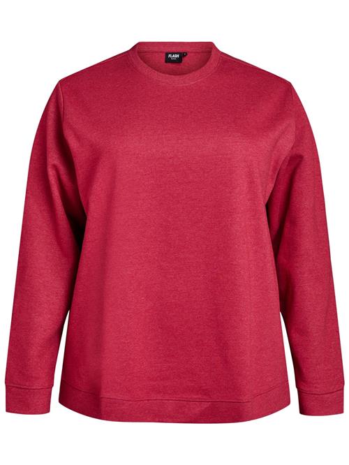 Se Zizzi Sweatshirt 'Vigga'  rød ved About You