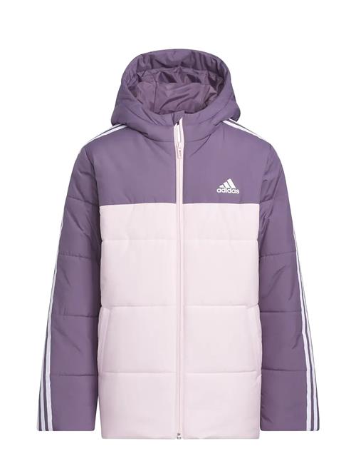 Jg Cb Pad Jkt Adidas Sportswear Purple