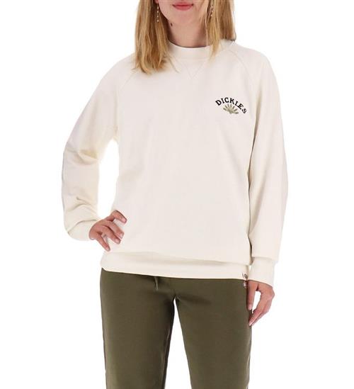 Se Dickies Sweatshirt - Fort Lewis - Ecru hos KidsWorld