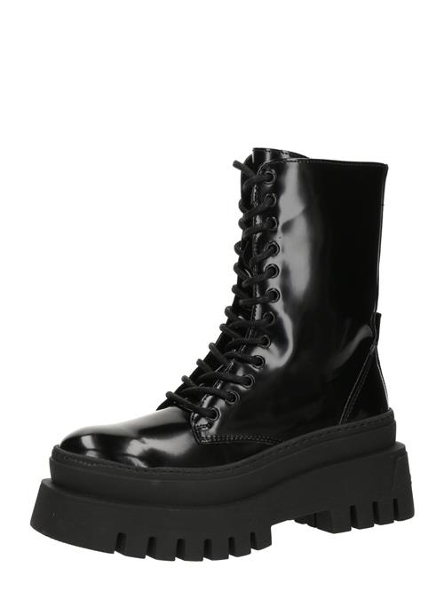 STEVE MADDEN Snørestøvletter 'COAST'  sort