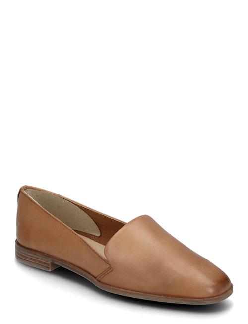 Veadith2.0-In ALDO Brown