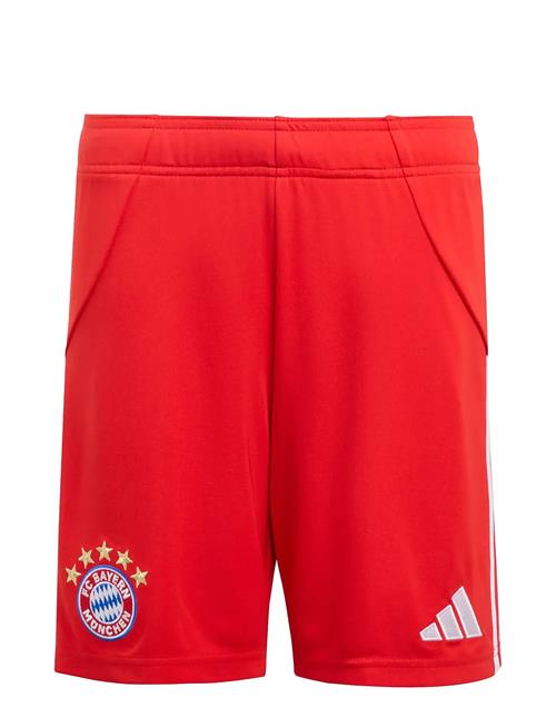 Fcb H Sho Y Adidas Performance Red
