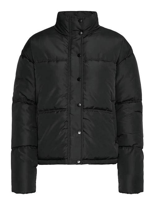 Frebba Ja 1 Fransa Black