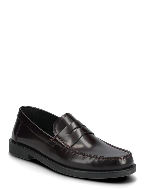 U Recanati B GEOX Brown