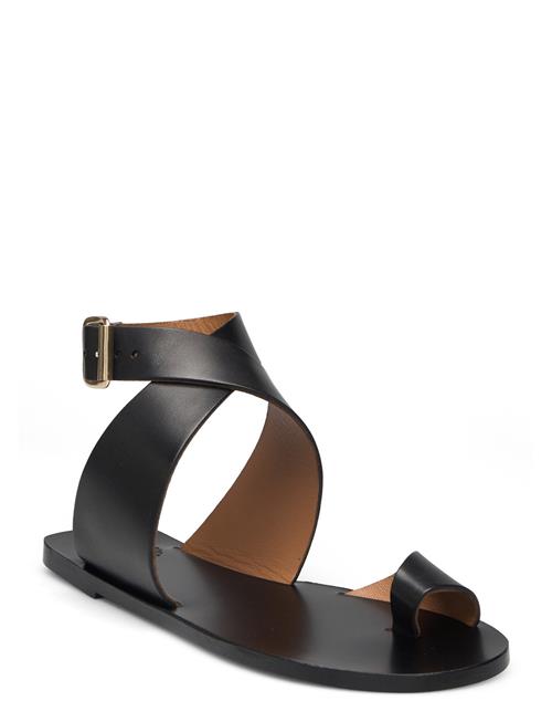 Montagano Black Vacchetta ATP Atelier Black